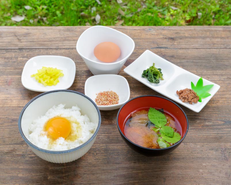 食堂かめっち。